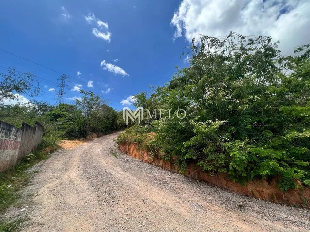 Imagem 7: ÁREA DE 6.000m², em Jaboatão Velho.