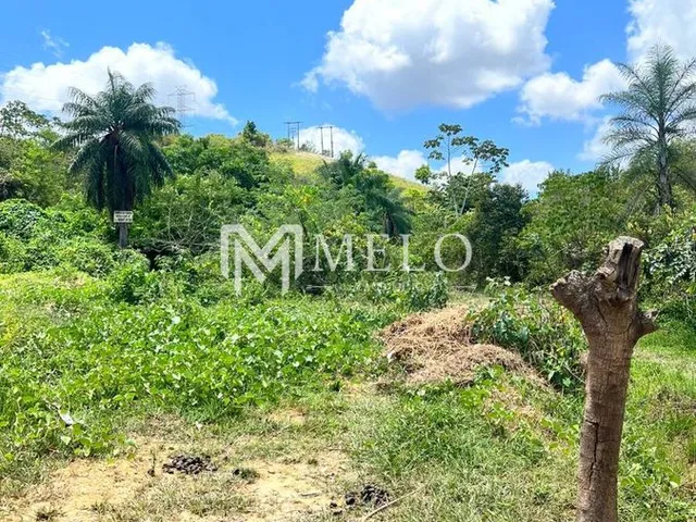 Imagem 10: ÁREA DE 6.000m², em Jaboatão Velho.