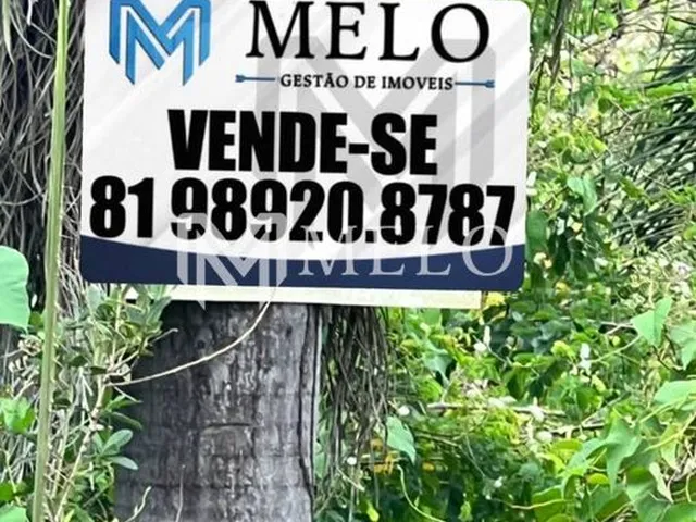 Imagem 13: ÁREA DE 6.000m², em Jaboatão Velho.