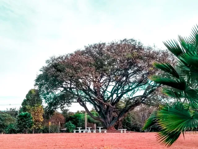 Imagem: Terreno Residencial em Cabreúva - Sp, Pindorama