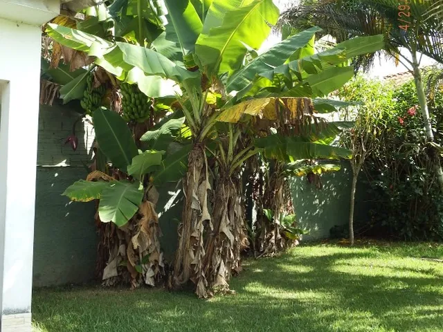 Imagem 1: CHACARA RESIDENCIAL em IPERÓ - SP, SANTO ANTÔNIO