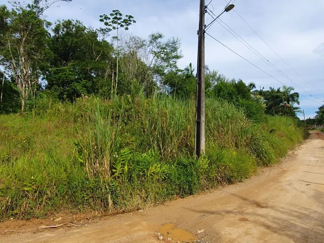 Imagem 3: Terreno em área Industrial