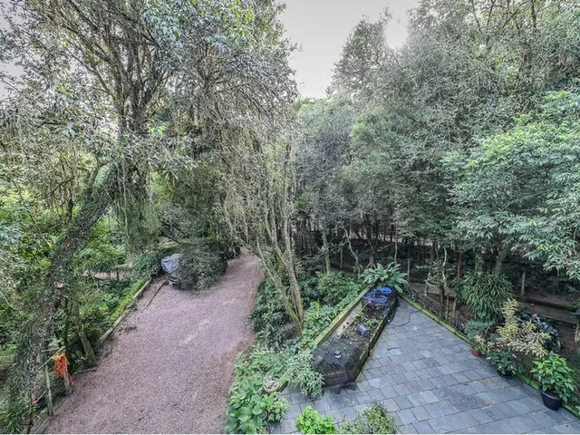Imagem 11: Casa - Porto Alegre
