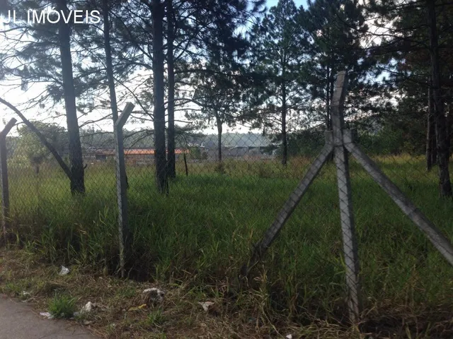 Imagem 2: AREA INDUSTRIAL em CAMPO LIMPO PAULISTA - SP, BOTUJURU (BOTUJURU)