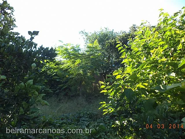 Imagem 3: Casa com 2 Dormitorio(s) localizado(a) no bairro Mathias Velho em Canoas / Rio Grande do