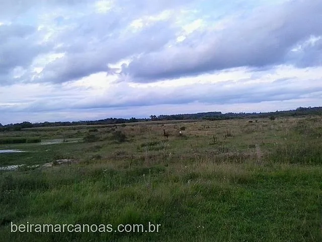 Imagem: Área de Terra com 4 Dormitorio(s) localizado(a)