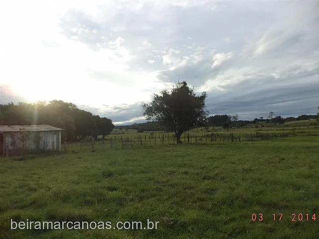 Imagem 7: Área de Terra com 4 Dormitorio(s) localizado(a) no bairro . em Nova Santa Rita / Rio