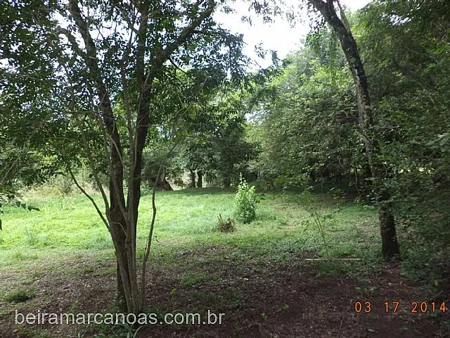 Imagem 12: Área de Terra com 4 Dormitorio(s) localizado(a) no bairro . em Nova Santa Rita / Rio
