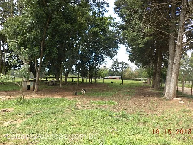 Imagem 5: Área de Terra com 2 Dormitorio(S) Localizado(A) no Bairro Bela Vista em Triunfo / Rio Grande do Sul Ref.:500-35
