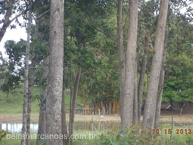 Imagem 14: Área de Terra com 2 Dormitorio(S) Localizado(A) no Bairro Bela Vista em Triunfo / Rio Grande do Sul Ref.:500-35
