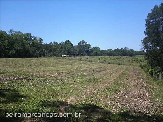 Imagem 6: Área de Terra com 3 Dormitorio(s) localizado(a) no bairro Sanga Funda em Nova Santa