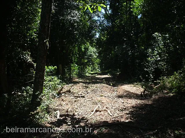 Imagem 9: Área de Terra com 3 Dormitorio(s) localizado(a) no bairro Sanga Funda em Nova Santa