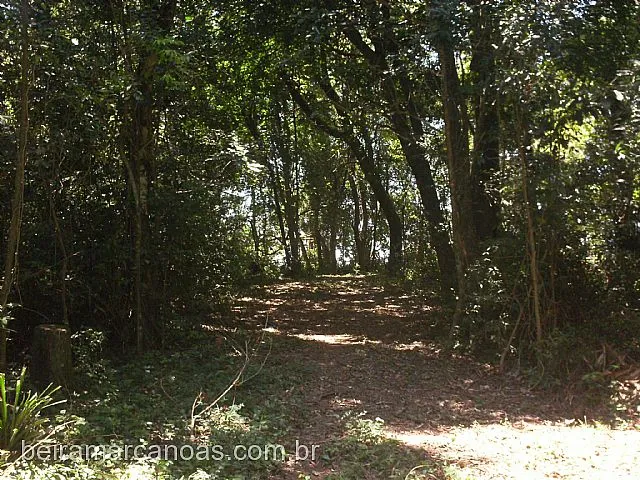 Imagem 12: Área de Terra com 3 Dormitorio(s) localizado(a) no bairro Sanga Funda em Nova Santa