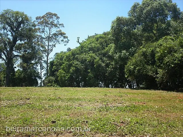 Imagem 15: Área de Terra com 3 Dormitorio(s) localizado(a) no bairro Sanga Funda em Nova Santa