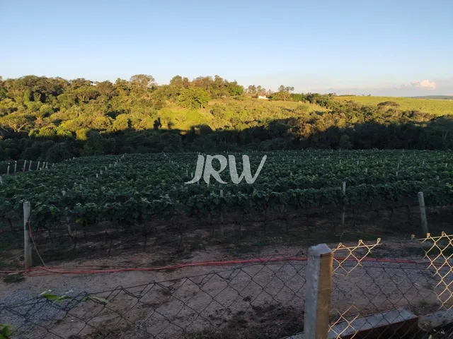 Imagem 5: Chacara com 23.000 metros na cidade de Elias Fausto SP
