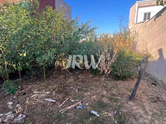 Imagem: Terreno a Venda no Jardim Veneza na Cidade