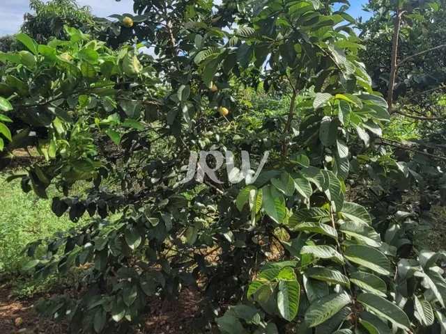 Imagem 8: SITIO A VENDA NA CIDADE DE MONTE MOR SP