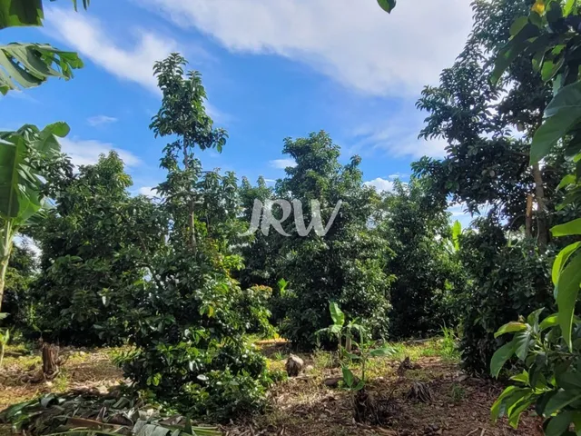Imagem 10: SITIO A VENDA NA CIDADE DE MONTE MOR SP