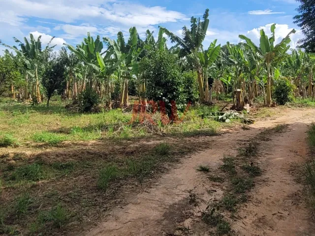 Imagem 16: Lindo Sítio Produtivo Monte Mor SP, com otima localização e paissagem da Natureza