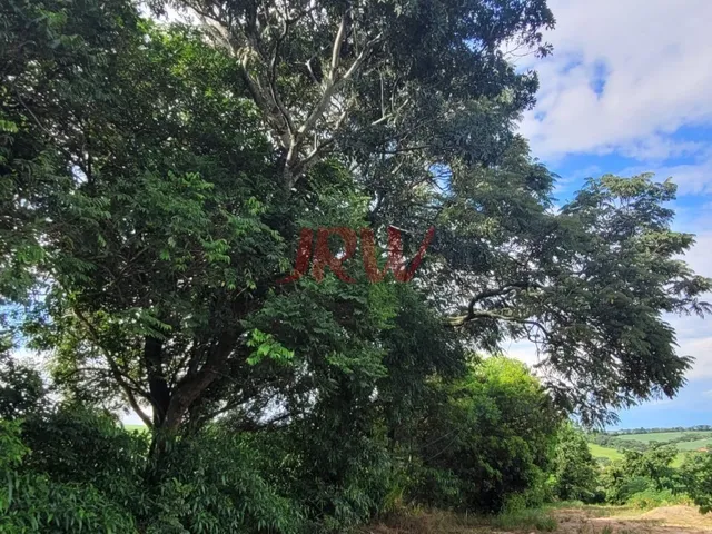 Imagem 8: Lindo Sítio Produtivo Monte Mor SP, com otima localização e paissagem da Natureza