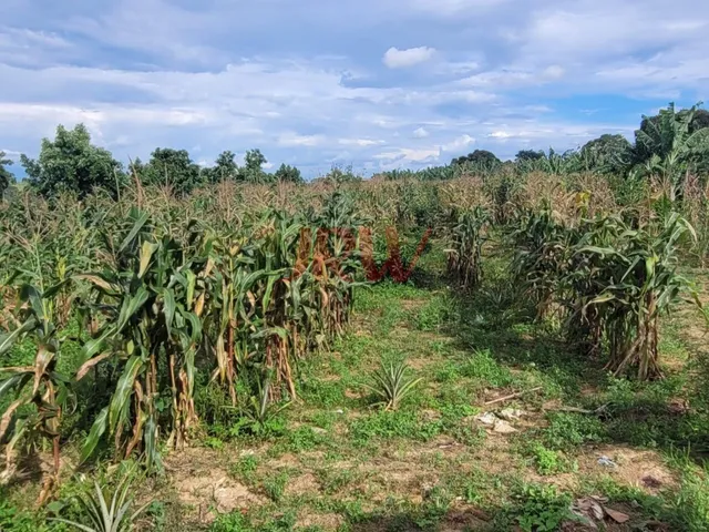 Imagem 12: Lindo Sítio Produtivo Monte Mor SP, com otima localização e paissagem da Natureza
