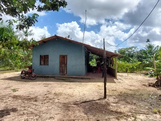 Imagem 13: Sítio com 10 hectares com plantio de açaí (6 hectares) na estrada de mosqueiro DENPASA
