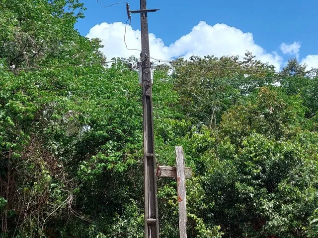 Imagem 16: Sítio com 10 hectares com plantio de açaí (6 hectares) na estrada de mosqueiro DENPASA