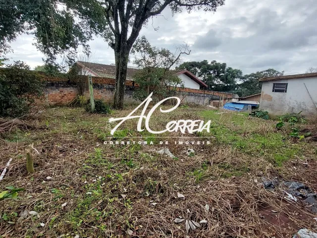 Imagem 5: Terreno Vista Alegre Ótima Região