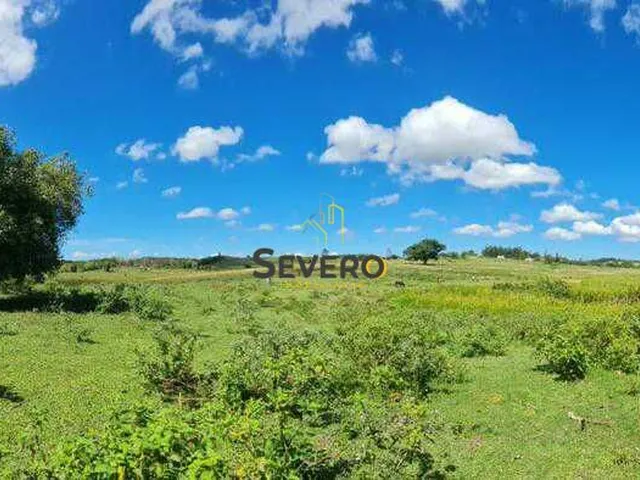 Imagem 11: Fazenda à venda no bairro Centro (São Vicente) - Araruama/RJ