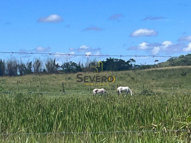Imagem 7: Fazenda à venda no bairro Centro (São Vicente) - Araruama/RJ