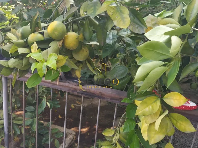 Imagem 15: Casa à venda no bairro Brasilândia - São Gonçalo/RJ