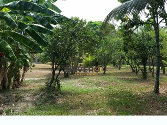 Imagem 8: Belíssimo Sítio em Maricá, com aproximadamente 5.000m²