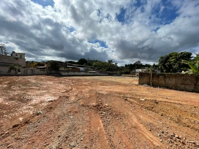 Imagem: Terreno para Venda em Juiz de Fora, Grama