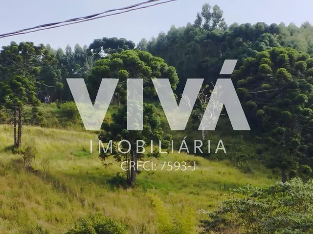 Imagem 2: Terreno EM EXTREMA NO BAIRRO, Pinhal Grande, EXTREMA - MG
