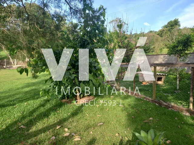 Imagem 4: OTIMA CHACARA 6.500m2 COM PESQUEIRO E 3 CASAS PRONTAS, TERRENO PLANO