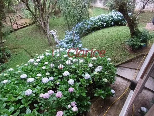 Imagem 4: CHACARA - COLÔNIA MURICI