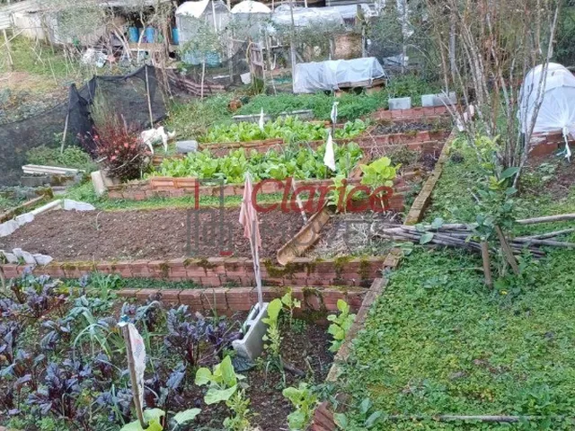 Imagem 3: CHACARA - COLÔNIA MURICI