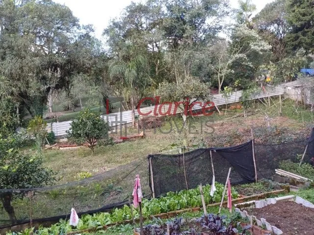 Imagem 2: CHACARA - COLÔNIA MURICI