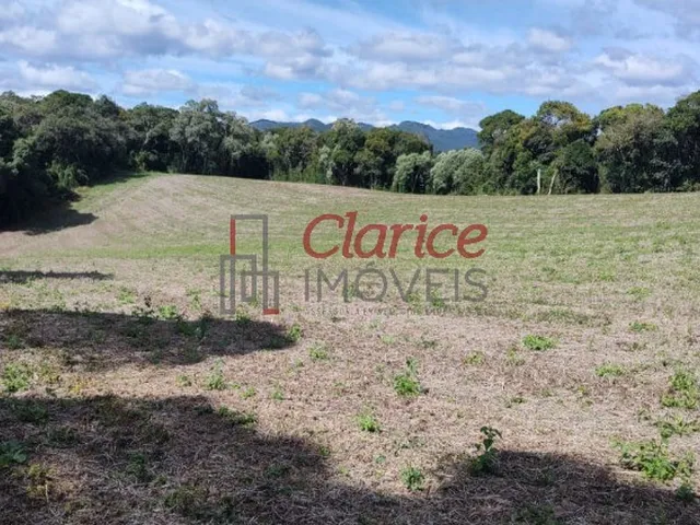 Imagem 2: CHACARA - SÃO JOSÉ DOS PINHAIS