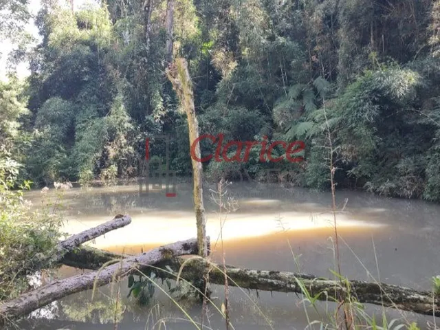 Imagem 1: CHACARA - SÃO JOSÉ DOS PINHAIS