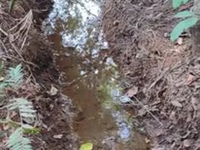 Imagem 4: Chácara 1700M², Escriturada, Tanque Água, Rego Dagua, Setor Vertentes, Aragoiania