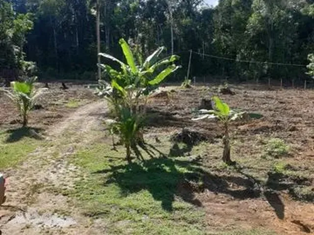 Imagem: Vende de Sítio