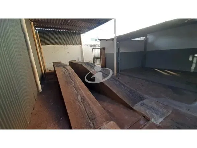 Imagem 11: Aluguel Terreno Martins