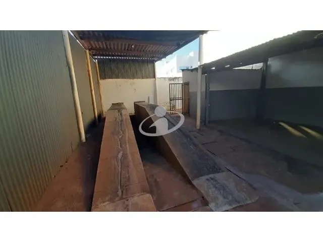 Imagem 8: Aluguel Terreno Martins