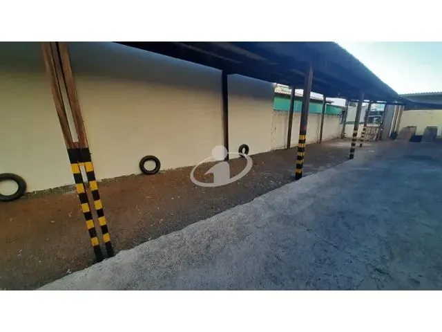 Imagem 9: Aluguel Terreno Martins