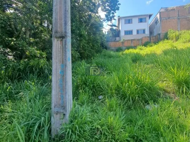 Imagem 7: Terreno à venda no bairro Potecas - São José/SC