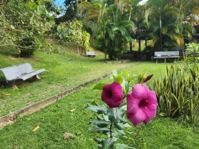 Imagem 2: CASA RESIDENCIAL em Camaçari - BA, Abrantes