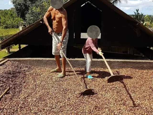 Imagem 5: FAZENDA RURAL em CAMAMU - BA, CAMAMU