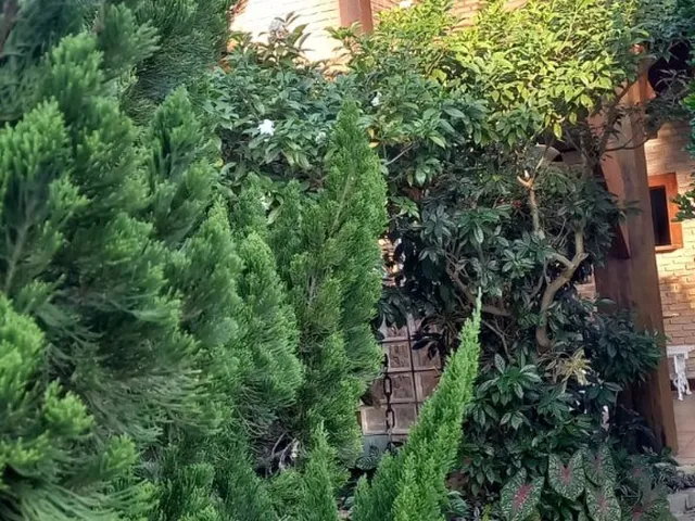 Imagem 13: CASA RESIDENCIAL em SALVADOR - BA, PIATÃ