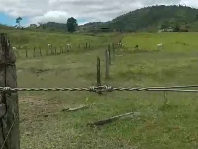 Imagem: FAZENDA RESIDENCIAL em nova Canaã - BA